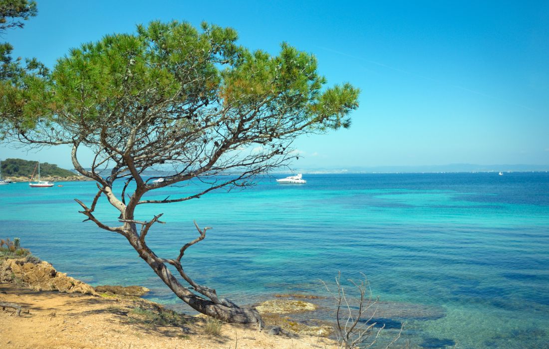 Lire la suite à propos de l’article La Côte d’Azur : un trésor méditerranéen